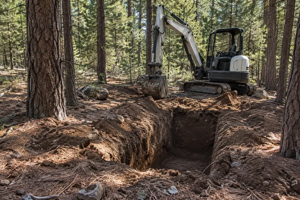 Graded drain field area among tall pines with a compact excavator